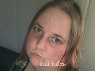 Falbkatze