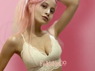 FeNiKs09