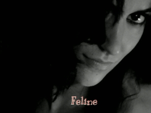 Feline