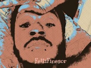 FettiFinesor