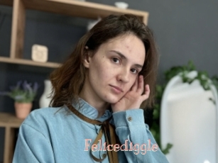 Felicediggle