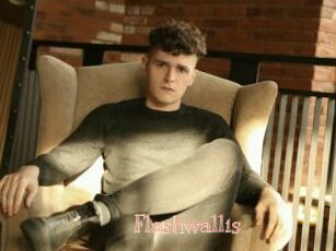 Flashwallis