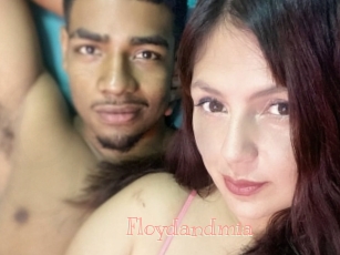 Floydandmia