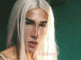 Forzeboyy