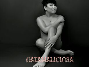 GATAMALICIOSA