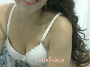 GataFelina