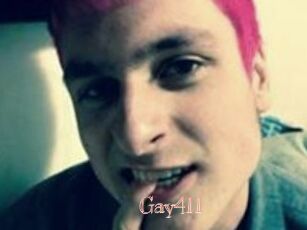 Gay411