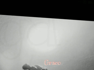 Graco
