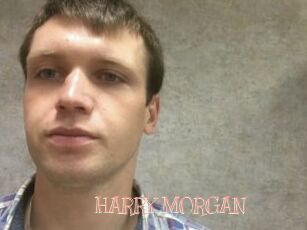 HARRY_MORGAN