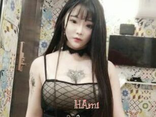 HAmi