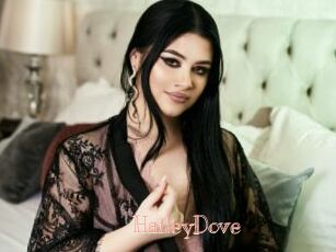 HaileyDove