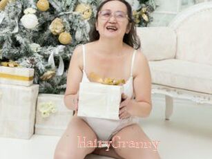 HairyGranny