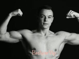 HeilgarVip
