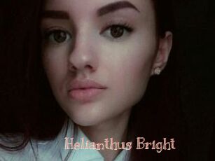 Helianthus_Bright