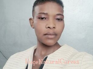 HugeNaturalCurves