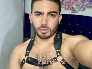 Hairyboyx