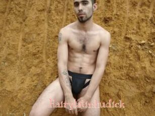 Hairylatinhudick