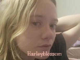 Harleyblossom