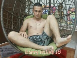 Harry_miller_18