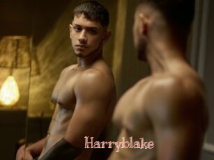 Harryblake