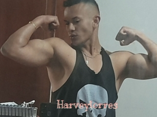 Harveytorres