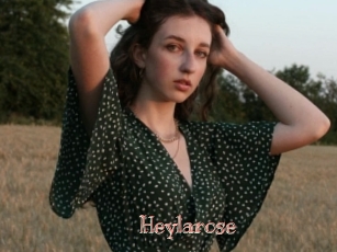 Heylarose