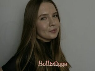 Hollisfigge