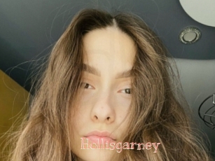 Hollisgarney
