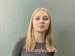 Hollisgleghorn