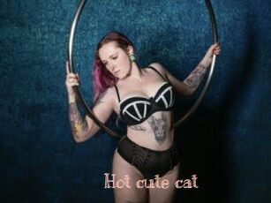 Hot_cute_cat