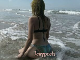 Iceypooh