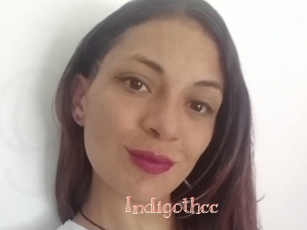 Indigothcc