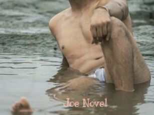 Joe_Novel