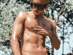JoshuaFox