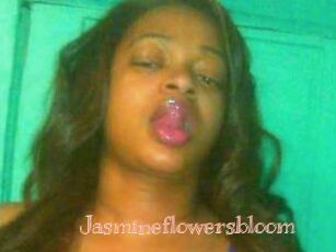 Jasmineflowersbloom
