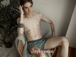Jaybreeze