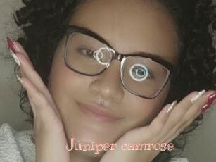 Juniper_camrose