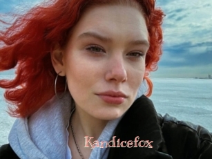 Kandicefox
