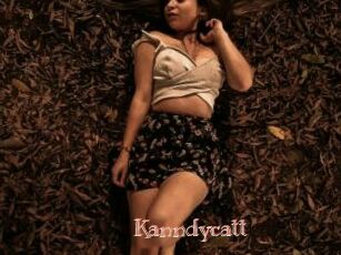 Kanndycatt
