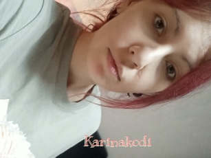 Karinakodi