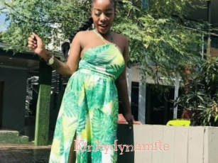 Kinkydynamite