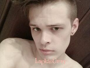 LapkinGray
