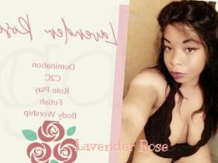 Lavender_Rose