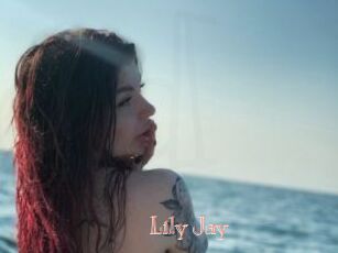 Lily_Jay