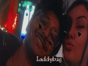 Laddybug