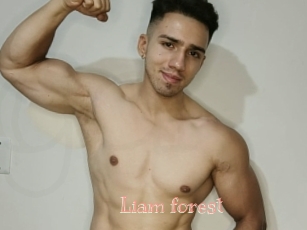 Liam_forest