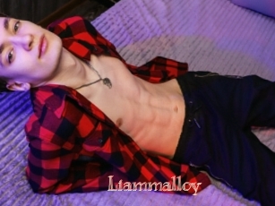 Liammalloy
