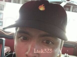 Link323