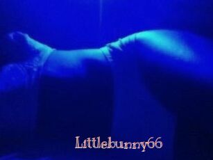 Littlebunny66