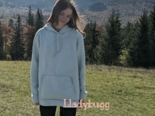 Lladybugg